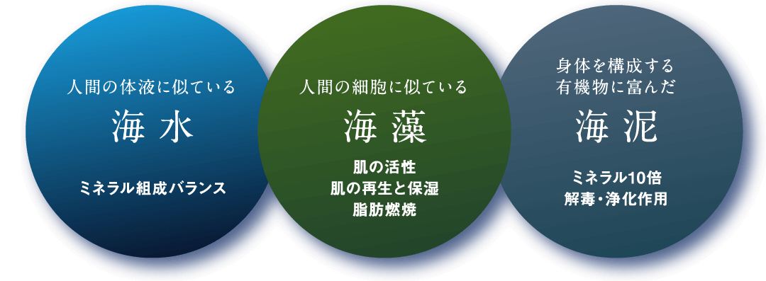 海水・海藻・海泥